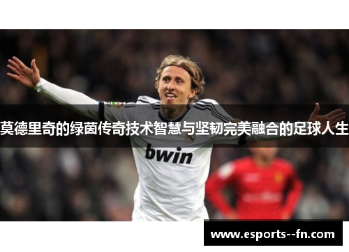 莫德里奇的绿茵传奇技术智慧与坚韧完美融合的足球人生
