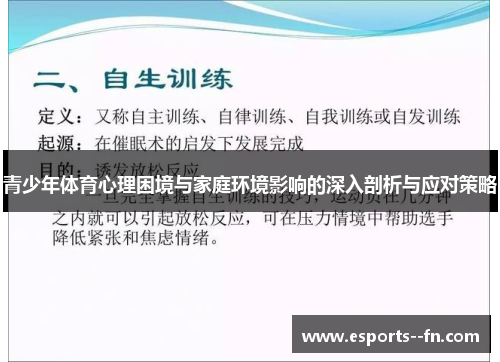 青少年体育心理困境与家庭环境影响的深入剖析与应对策略