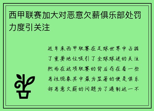 西甲联赛加大对恶意欠薪俱乐部处罚力度引关注 西甲联赛加大对恶意欠薪俱乐部处罚力度引关注
